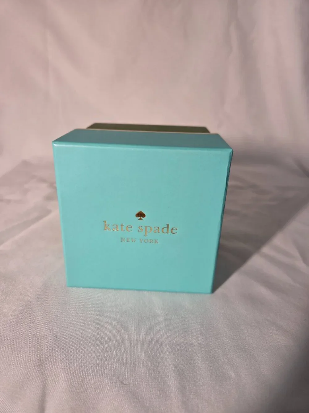 EMPTY Kate Spade Watch Box (2) Pillow Storage - Picture 8 of 11